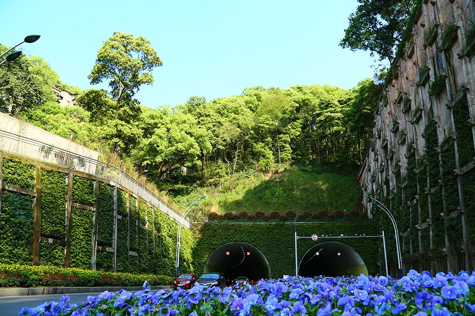 williamhill园林绿化维护